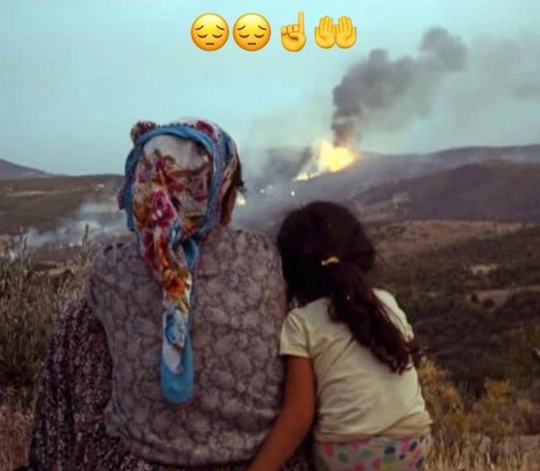 سيدة جزائرية مع ابنتها تراقب اقتراب الحرائق من منزلها مواطن ينقل مساعدات للمتضررين من حرائق الغابات