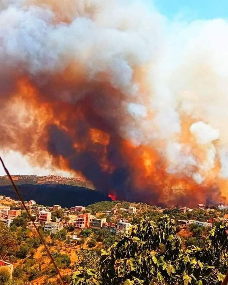 جانب من الحرائق التي اجتاحت الجزائر مواطن ينقل مساعدات للمتضررين من حرائق الغابات