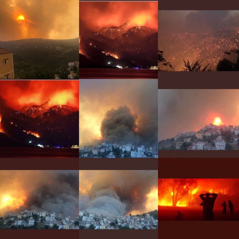 حرائق اجتاحت مدينة تيزي وزو الجزائرية