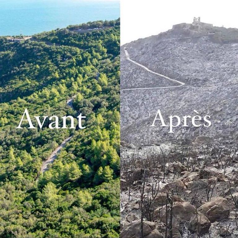 مدينة تيزي وزو قبل وبعد الحرائق