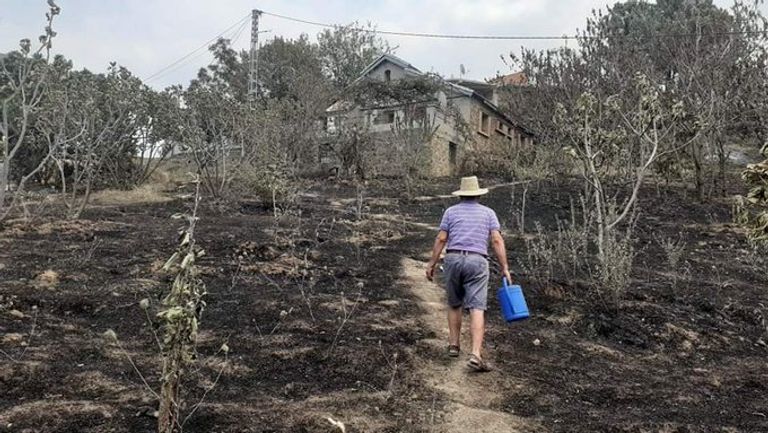 مدينة تيزي وزو الجزائرية بعد الحرائق