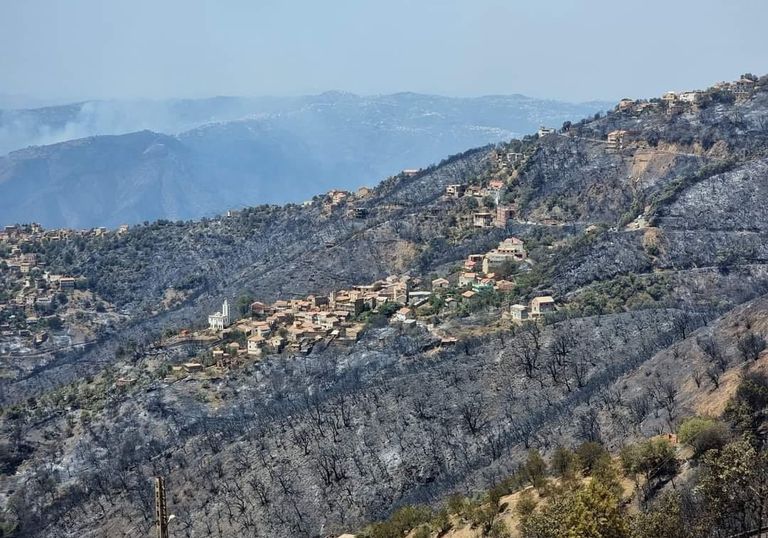 مدينة تيزي وزو الجزائرية بعد الحرائق