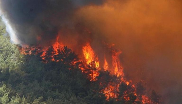 اندلاع حريق غابات ضخم في جنوب فرنسا