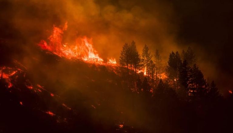 الحرائق تستعر في غابة شمال كاليفورنيا