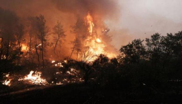 جانب من حرائق الغابات في اليونان
