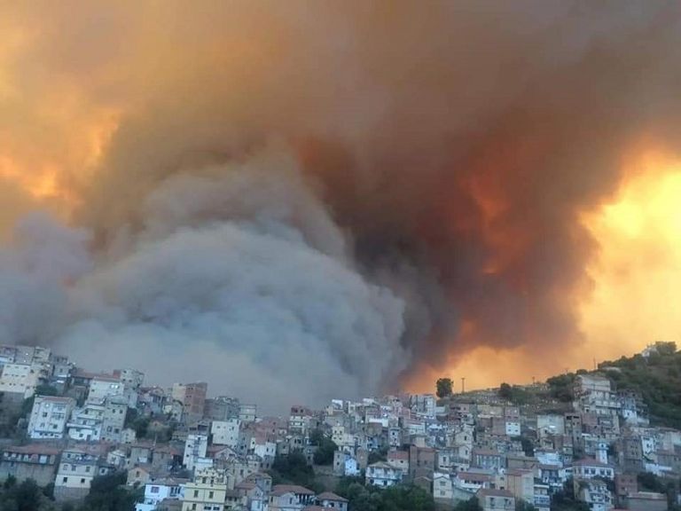 جانب من حرائق الغابات التي اجتاحت الجزائر جزائرية تبكي.. ذبح الإرهابيون عائلتها بسنوات التسعينيات - أرشيفية