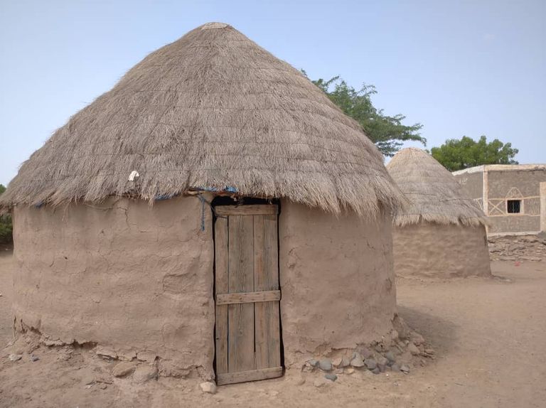 العشّة التهامية