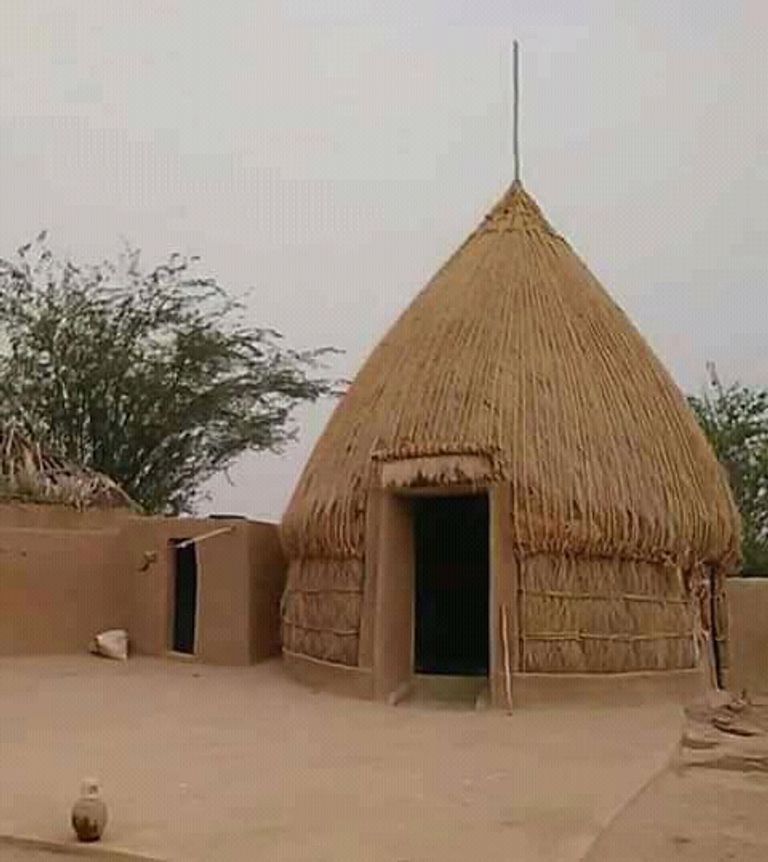 العشّة التهامية