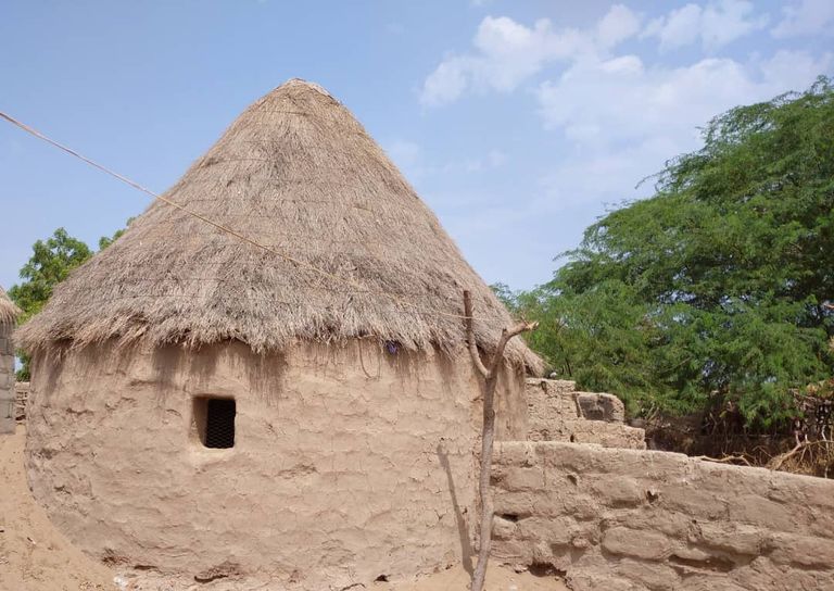 العشّة التهامية