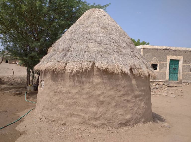 العشّة التهامية