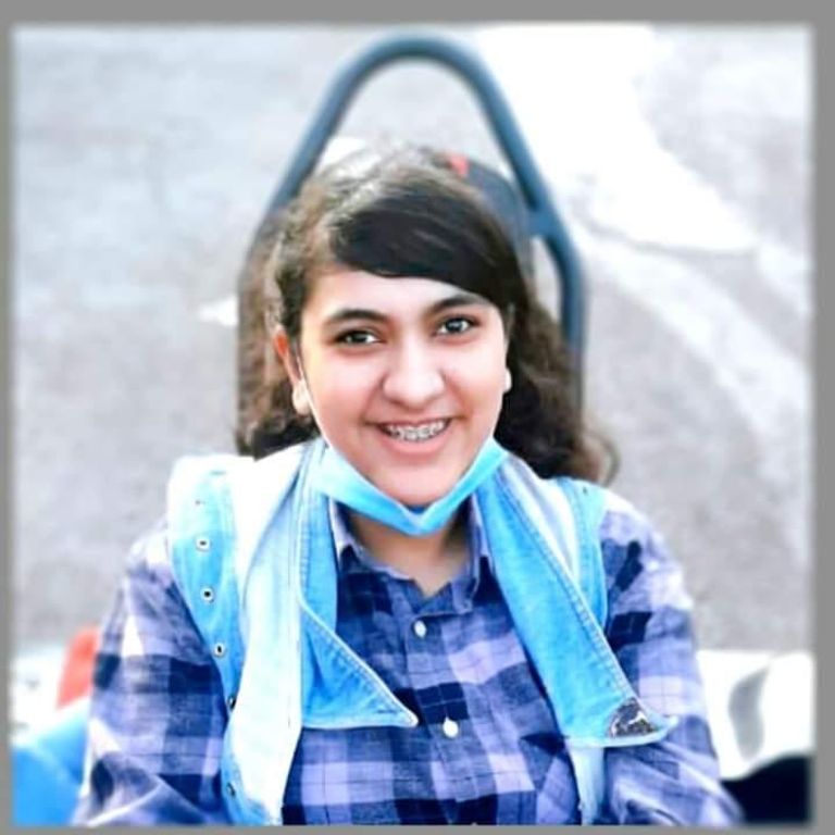 اللوحة الفنية