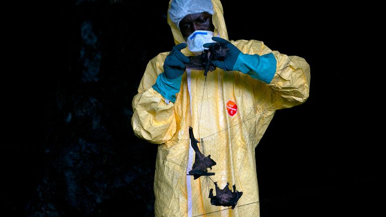 الدراسة الأمريكية حذرت من احتمالية انتشار وباء آخر مثل كورونا في غضون 60 عاماً