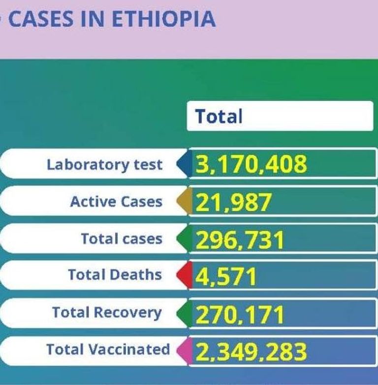 وزيرة الصحة الإثيوبية ليا تاديسي