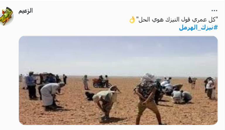 مدينة الهرمل