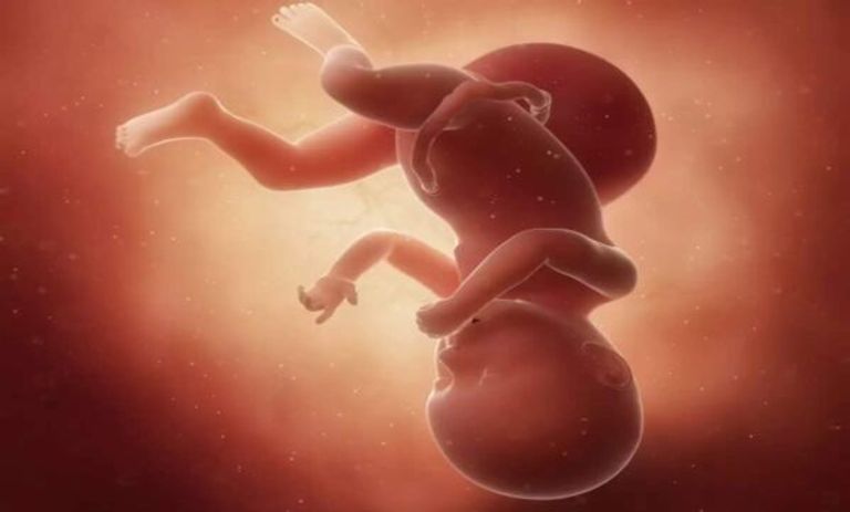 تطور الجنين في الأسبوع السادس والثلاثين مراحل تطور الجنين بالسونار