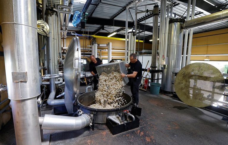 للياسمين في جراس رائحة مميزة وأصبحت المنطقة مقرا للزهور في القرن الـ17