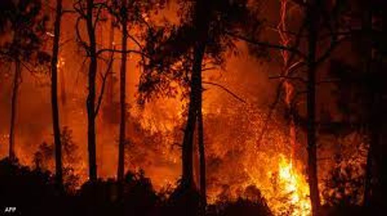 مولود بالحضانة - أرشيفية