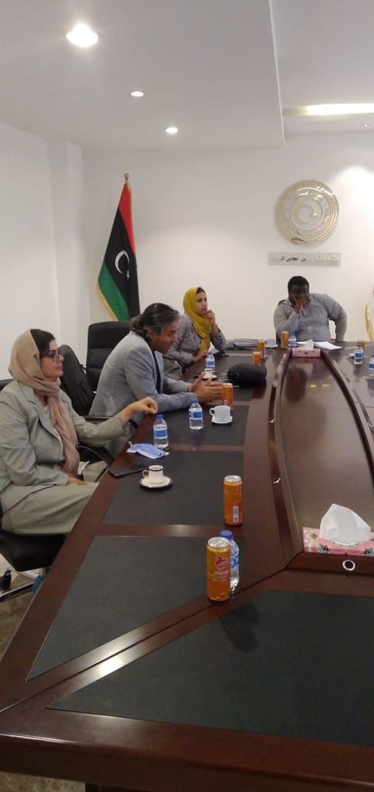 الفريق الاستشاري لوزير الدولة للشؤون الاقتصادية الليبية