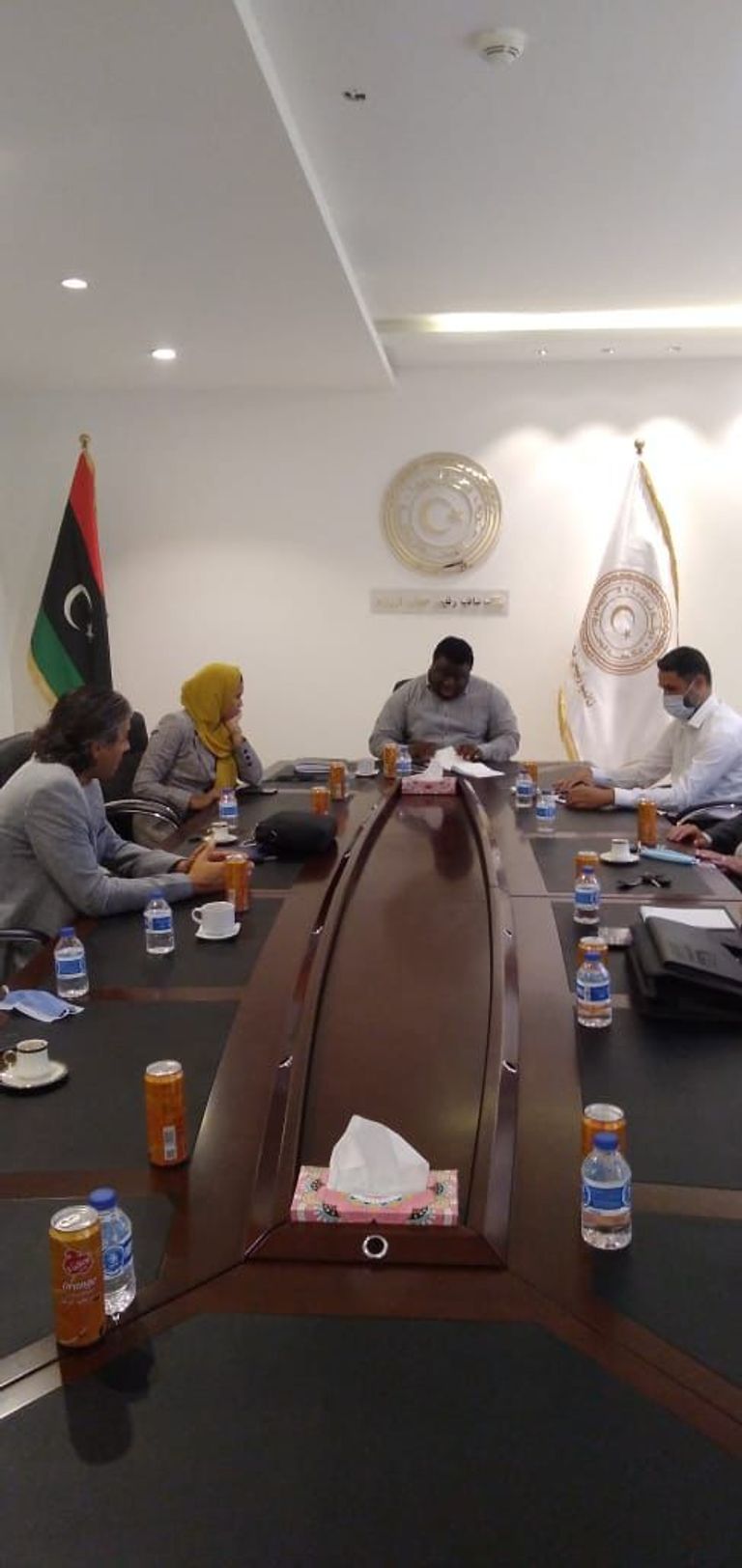 الفريق الاستشاري لوزير الدولة للشؤون الاقتصادية الليبية