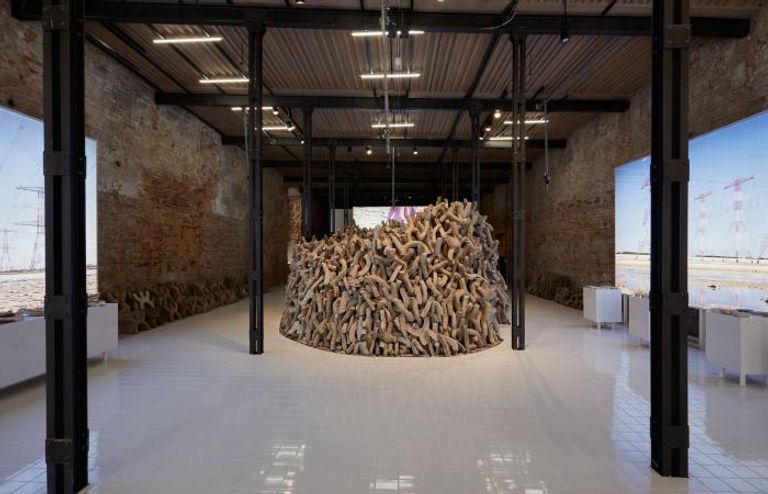 الإمارات تفوز بجائزة الأسد الذهبي في