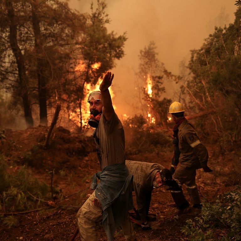 حرائق الغابات الأخيرة بالجزائر