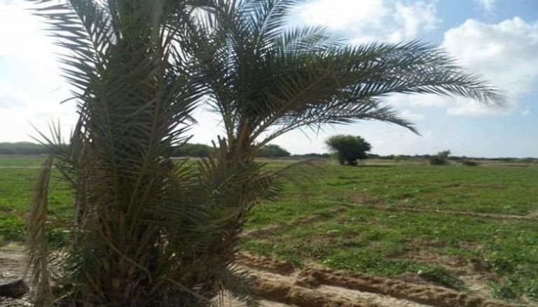 محافظة أبين اليمنية كانت تتميز بالإنتاج الزراعي الوفير