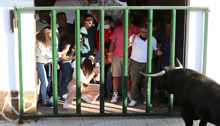 مهرجان ركض الثيران بإسبانيا