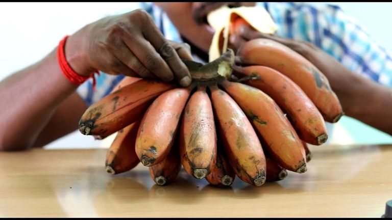 فاكهة الموز الأحمر الموز الأحمر