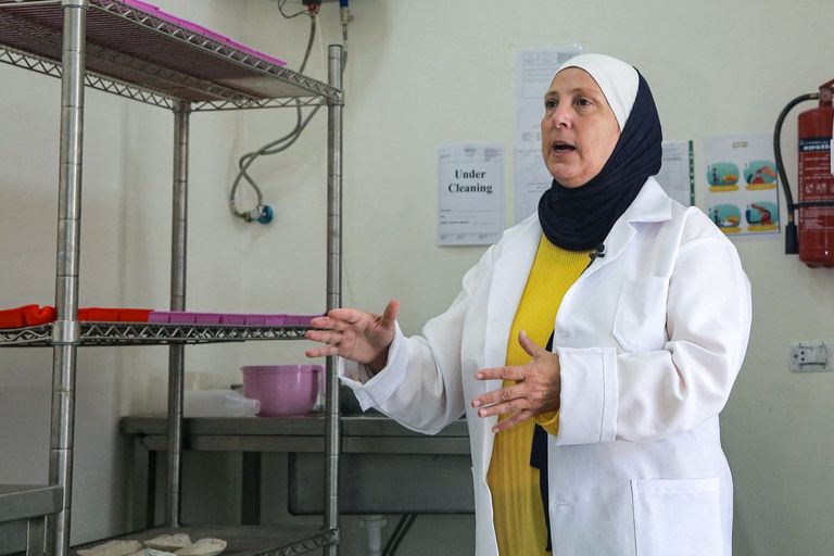 إعداد صابون حليب الحمير في الأردن