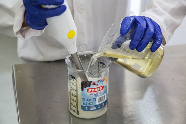 إعداد صابون حليب الحمير في الأردن