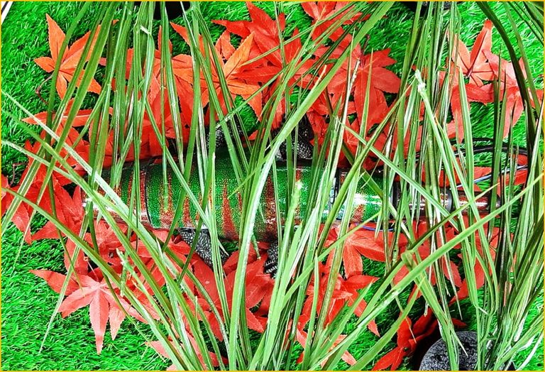 باحثون يبتكرون جلدا صناعيا شبيها بجلد الحرباء