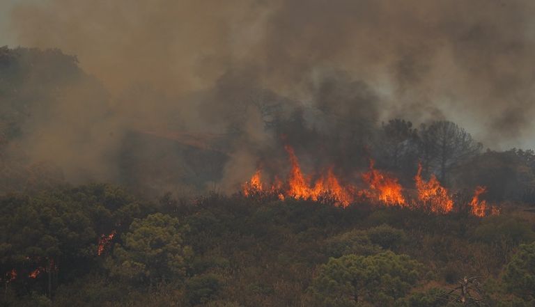 حريق غابات بجنوب إسبانيا