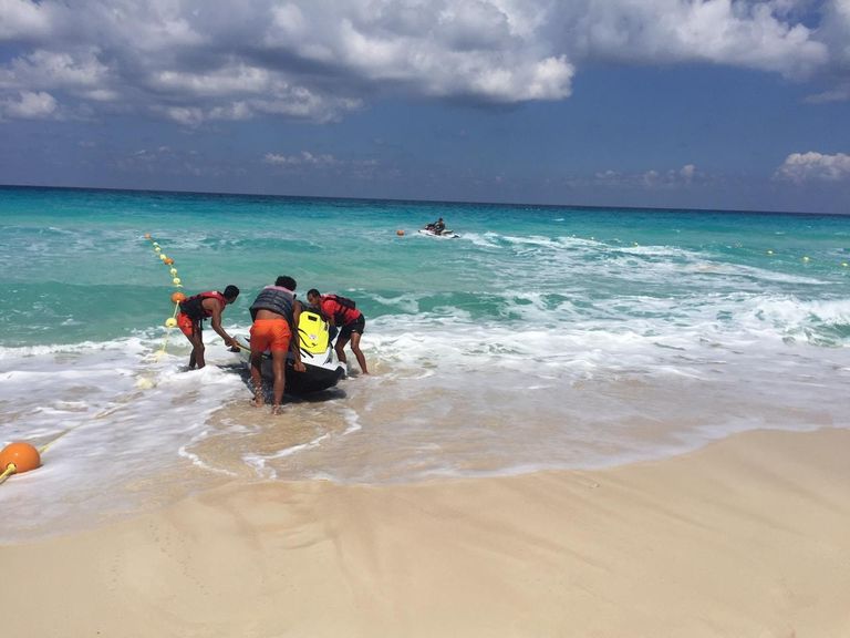 فرق تابعة لوزارة البيئة