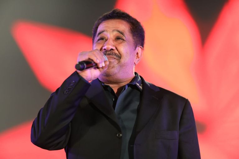 راغب علامة وروجينا