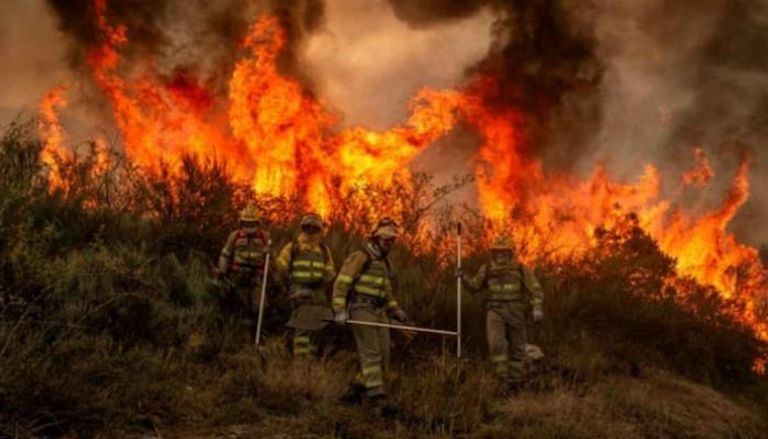 حرائق غابات في إسبانيا- أرشيفية