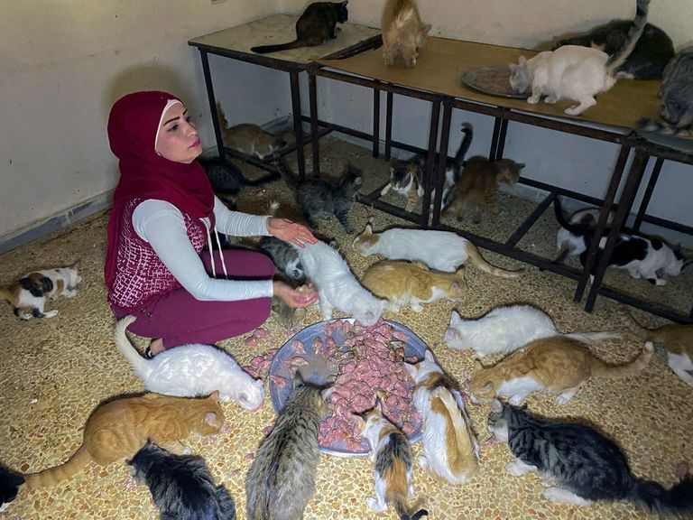 آلاء أبو دراع تبيع ما تملك لرعاية الحيوانات