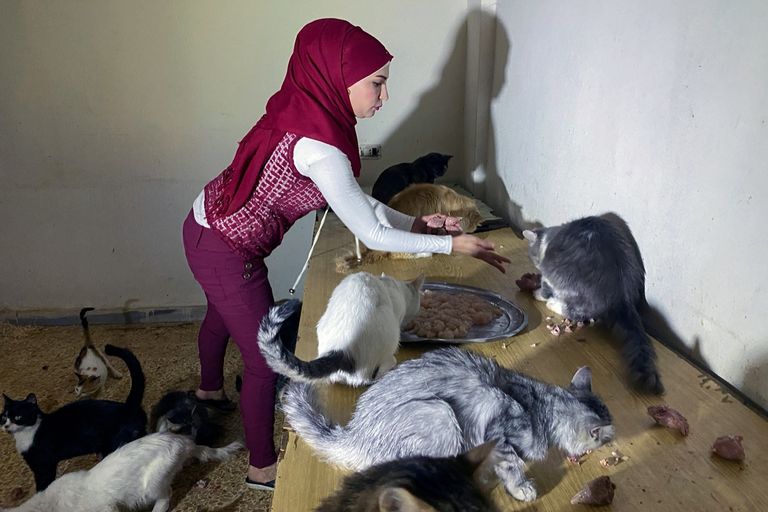 آلاء أبو دراع تبيع ما تملك لرعاية الحيوانات