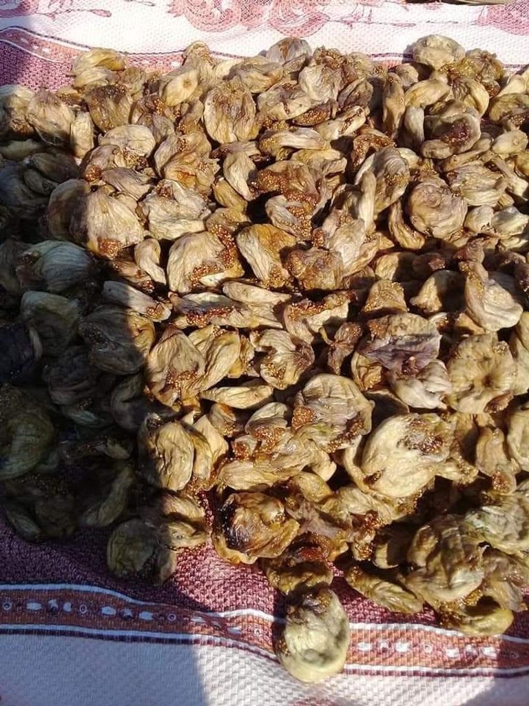 مونة الشتاء في لبنان