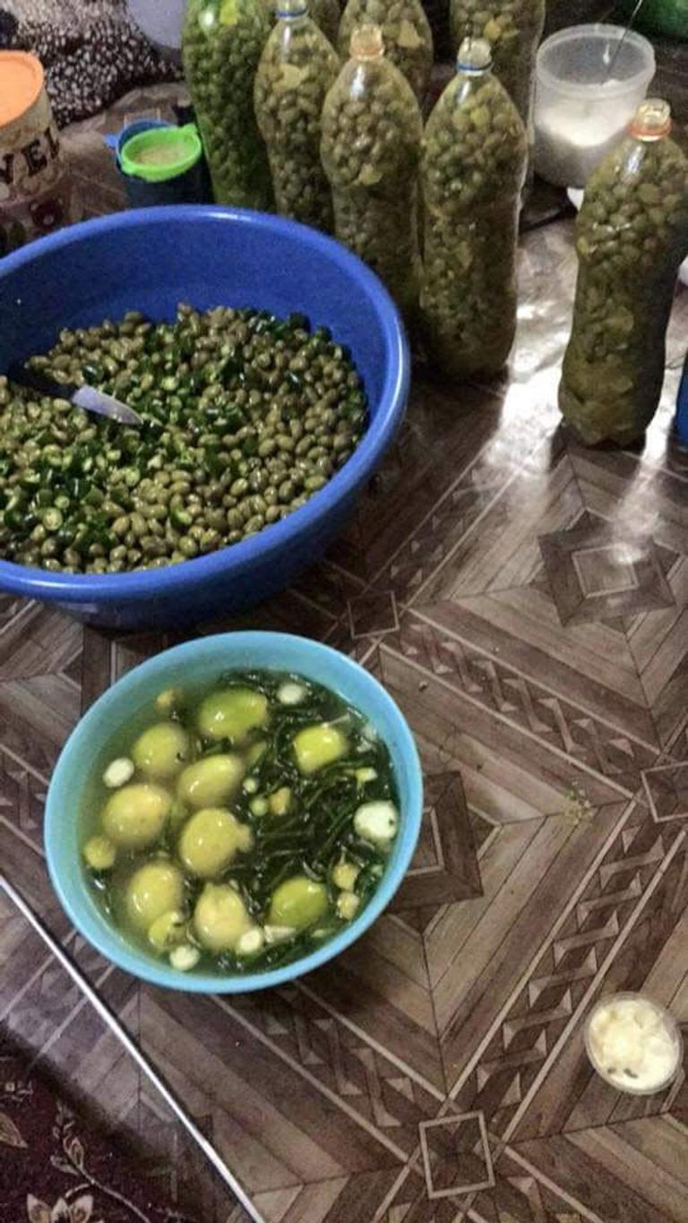 مونة الشتاء في لبنان