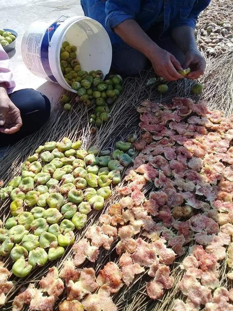 مونة الشتاء في لبنان