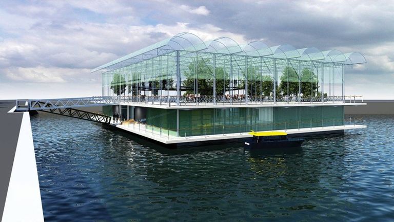 أبقار المزرعة العائمة