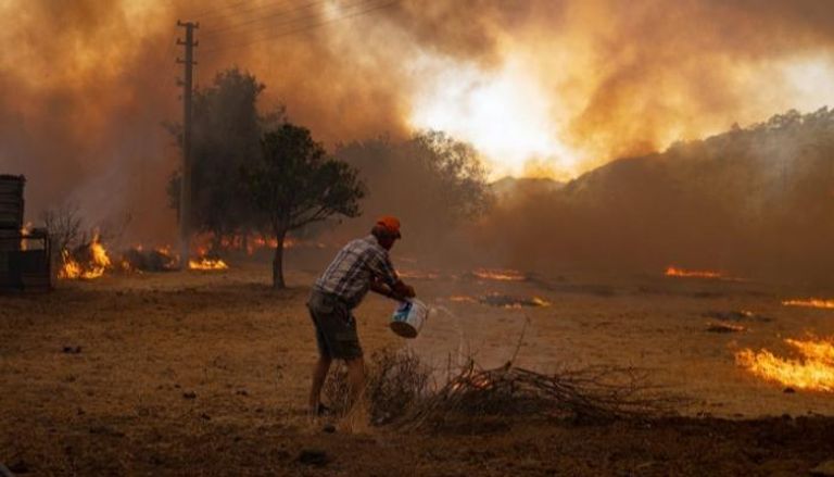 التغيرات المناخية تسببت في حرائق الغابات 