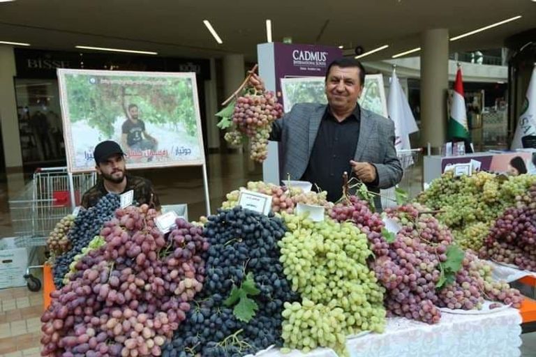 معرض للعنب والعسل في محافظة دهوك العراقية