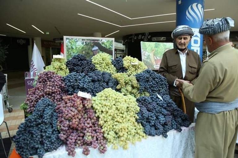معرض للعنب والعسل في محافظة دهوك العراقية