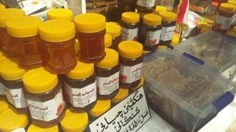 معرض للعنب والعسل في محافظة دهوك العراقية