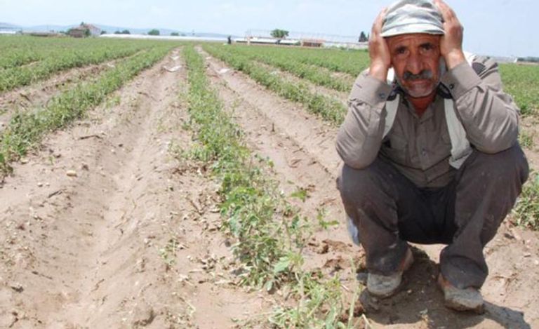 موكب أردوغان بنيويورك