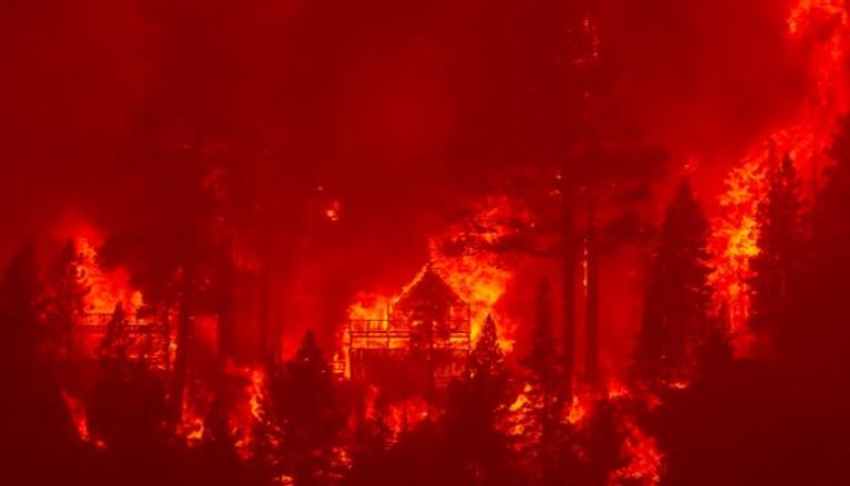 جانب من حرائق الغابات في كاليفورنيا - أ.ف.ب