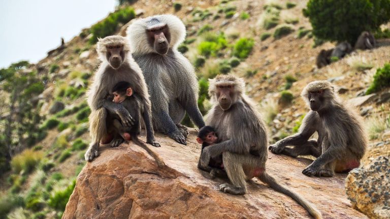 6 مواقع سعودية جديرة بالزيارة للاستمتاع بجمالها