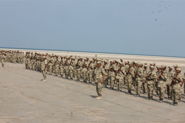 العميد طارق صالح قائد المقاومة الوطنية في اليمن