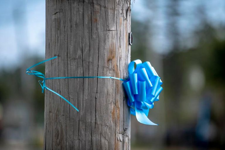 أمريكا تودع الشابة جابي بيتيتو في نيويورك